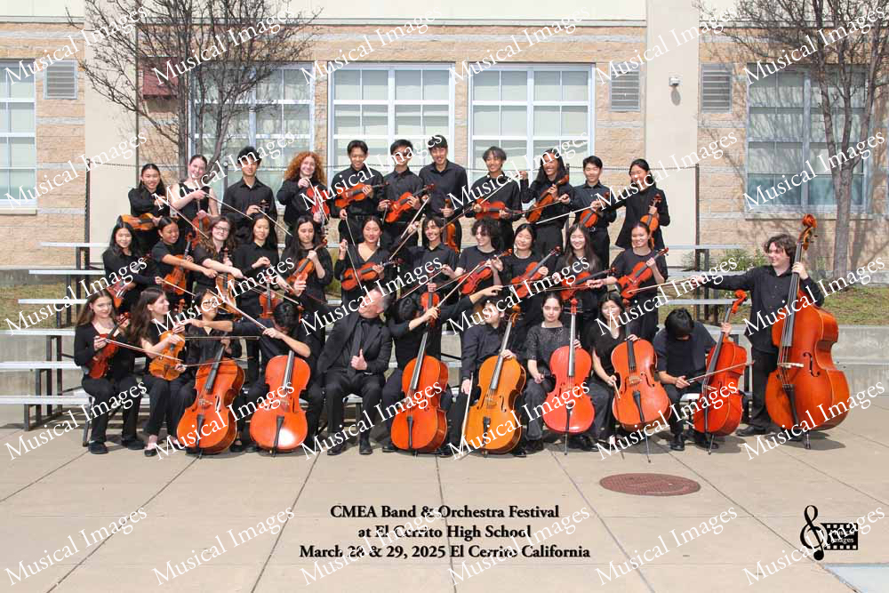 Musical Images